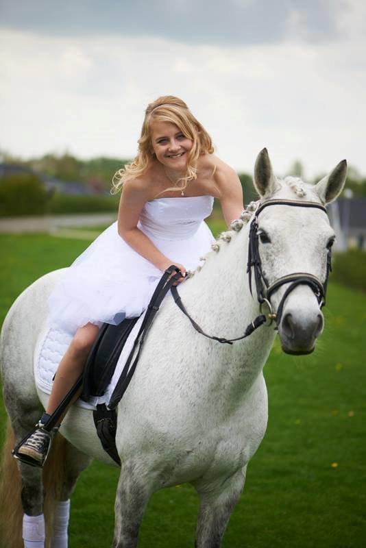 Anden særlig race Misti <3 - Misti kom hjem til os på vores konfirmation, d 11/5-13 <3 billede 5
