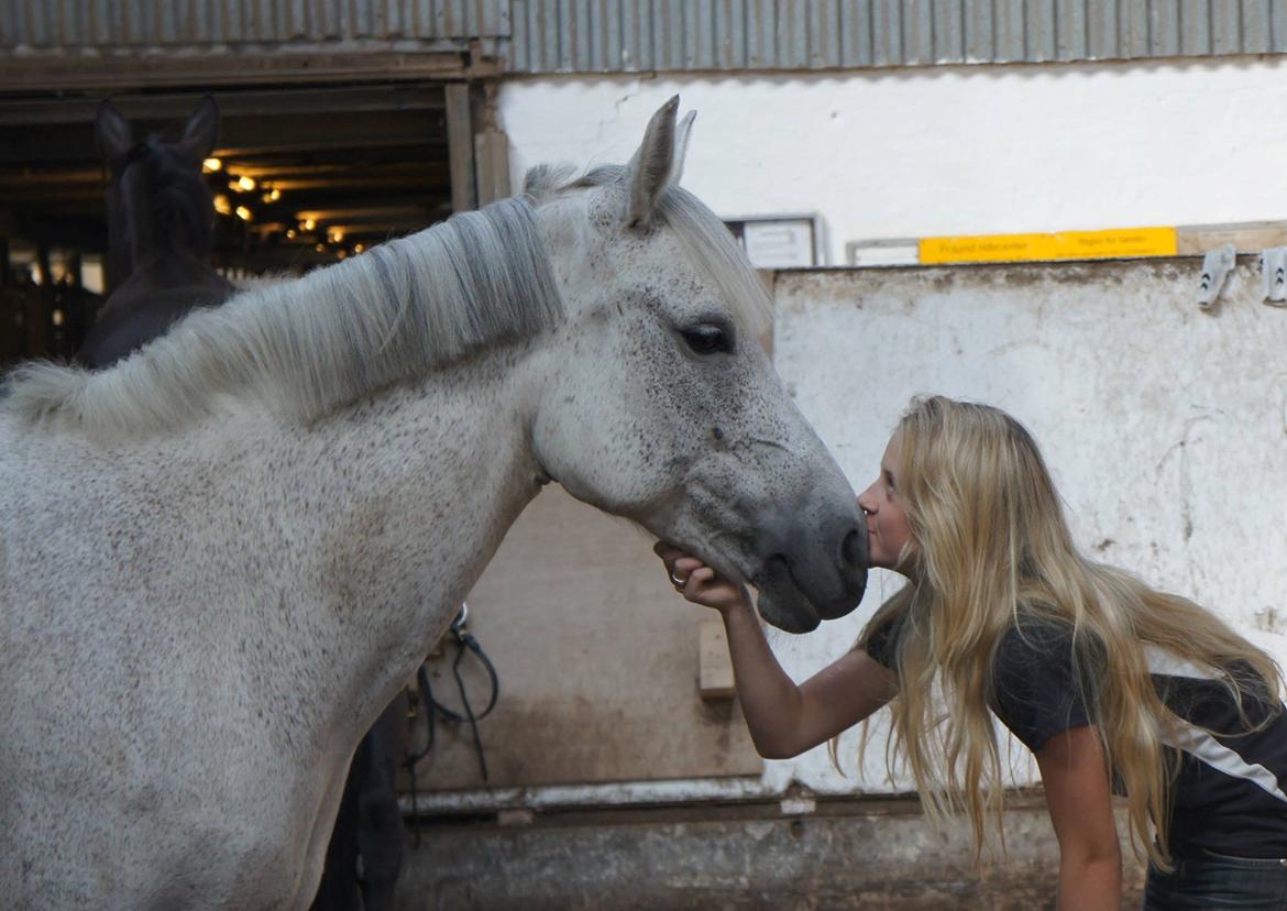 Anden særlig race Misti <3 - Sommerhygge med den bedste pony <3 billede 7