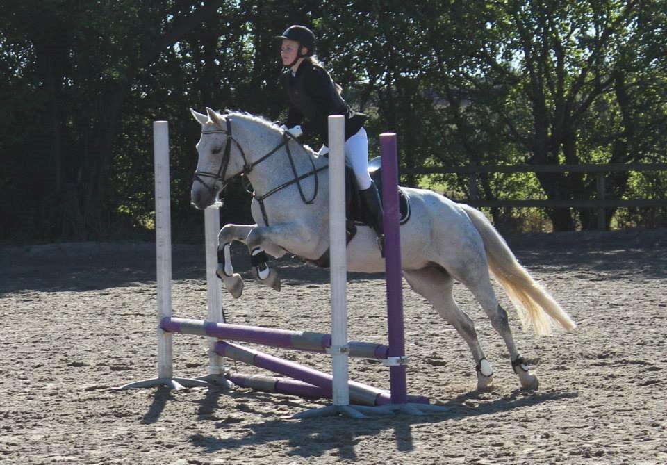 Anden særlig race Misti <3 - Springstævne på SRØ. Dygtig pony i 60 cm :-) billede 8