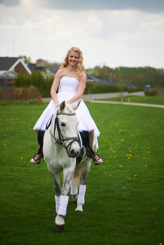 Anden særlig race Misti <3 - Misti kom hjem til os på vores konfirmation, d 11/5-13 <3 billede 18