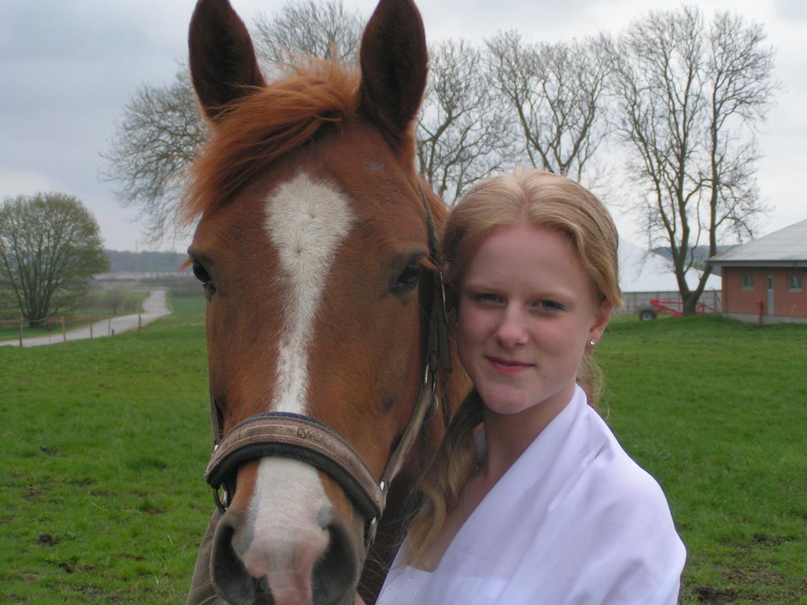 Hollandsk Sportspony zoe v.d. noarderein - 12/5-13 billede 22