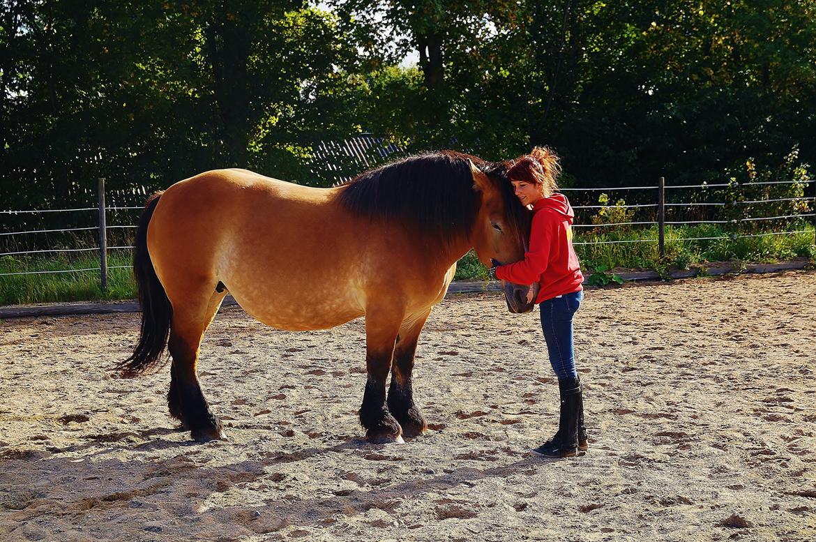 Belgier Sascha *My Soulmate* - I will never let you go !  billede 18