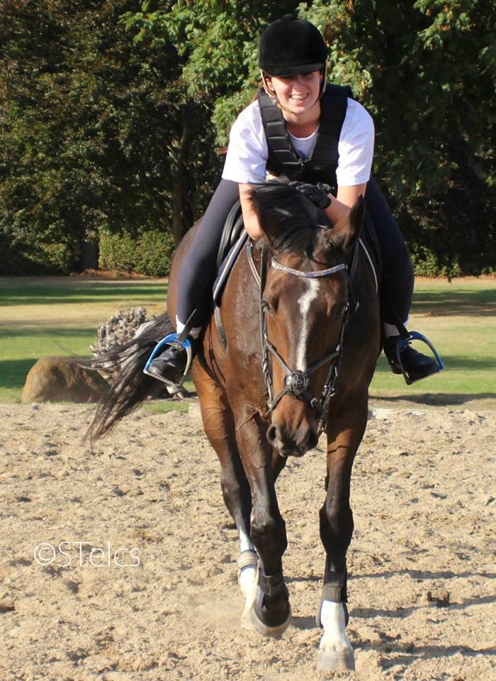 Hannoveraner Ramina - Whoever said diamonds are a girls best friend, never owned a horse <3 billede 1