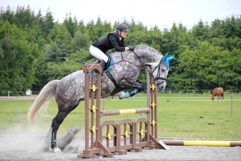 Anden særlig race Bech's Padraigh aka. Paddy :-) - LB* billede 15