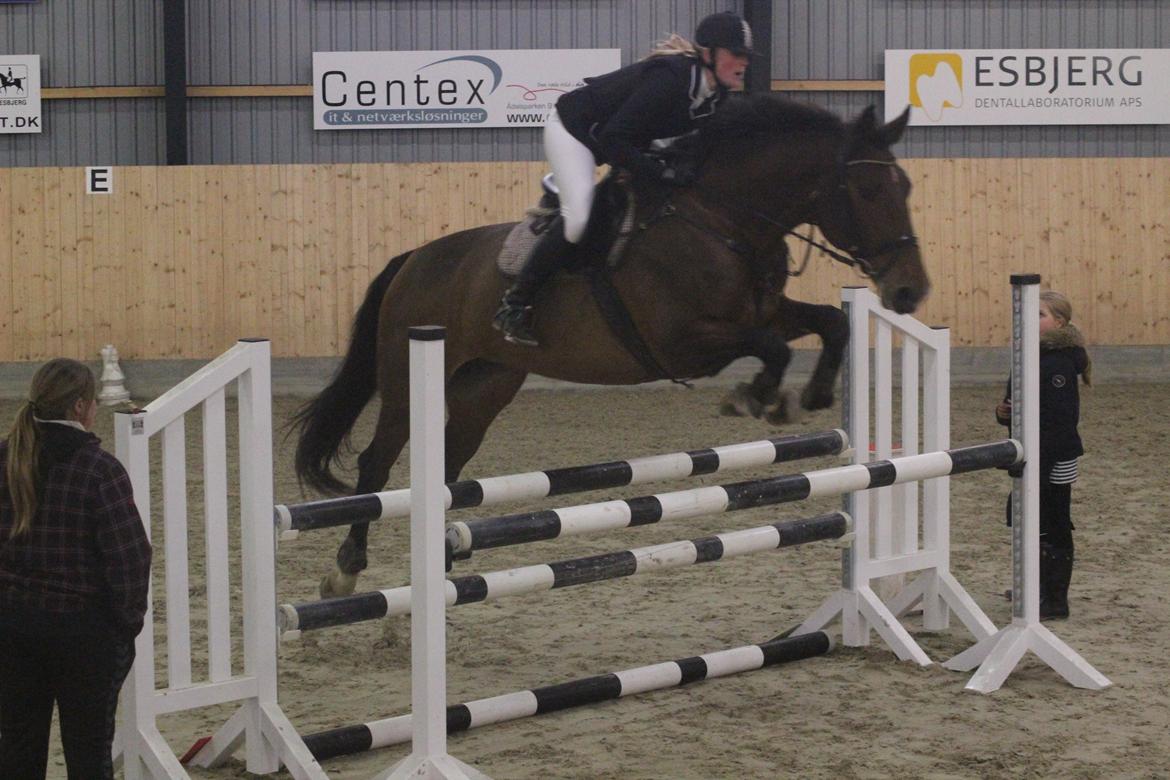 Holstener Vestergårdens La Luna billede 21