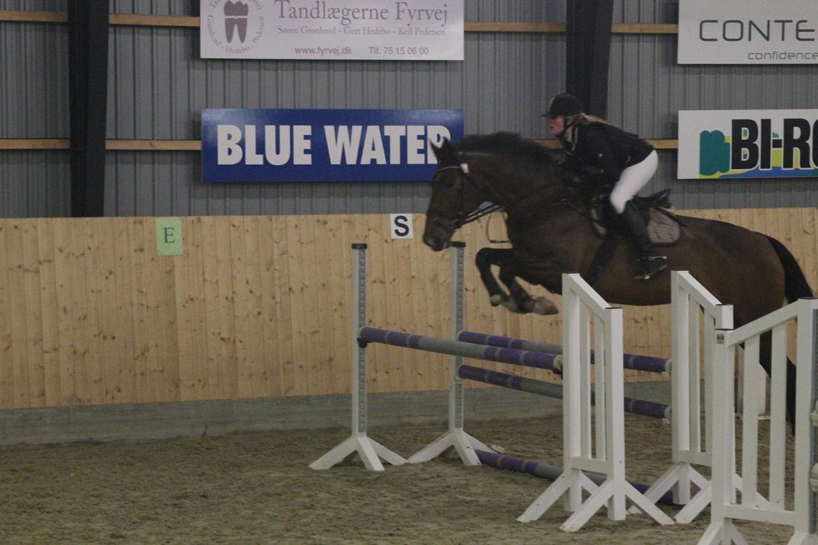 Holstener Vestergårdens La Luna billede 22