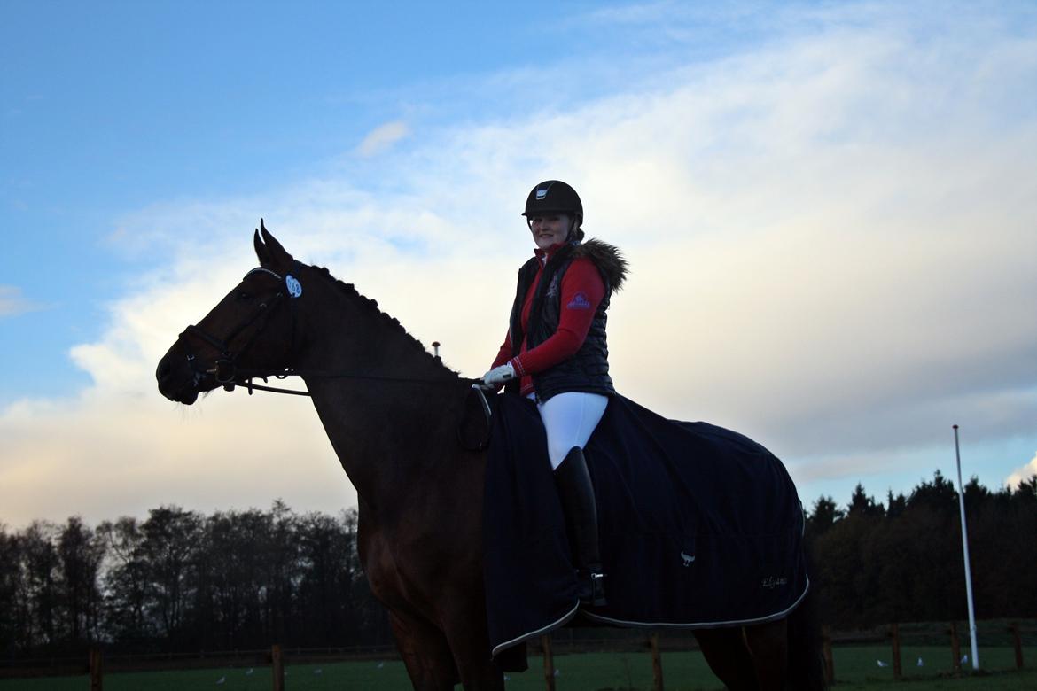 Dansk Varmblod First Move A.B. billede 12