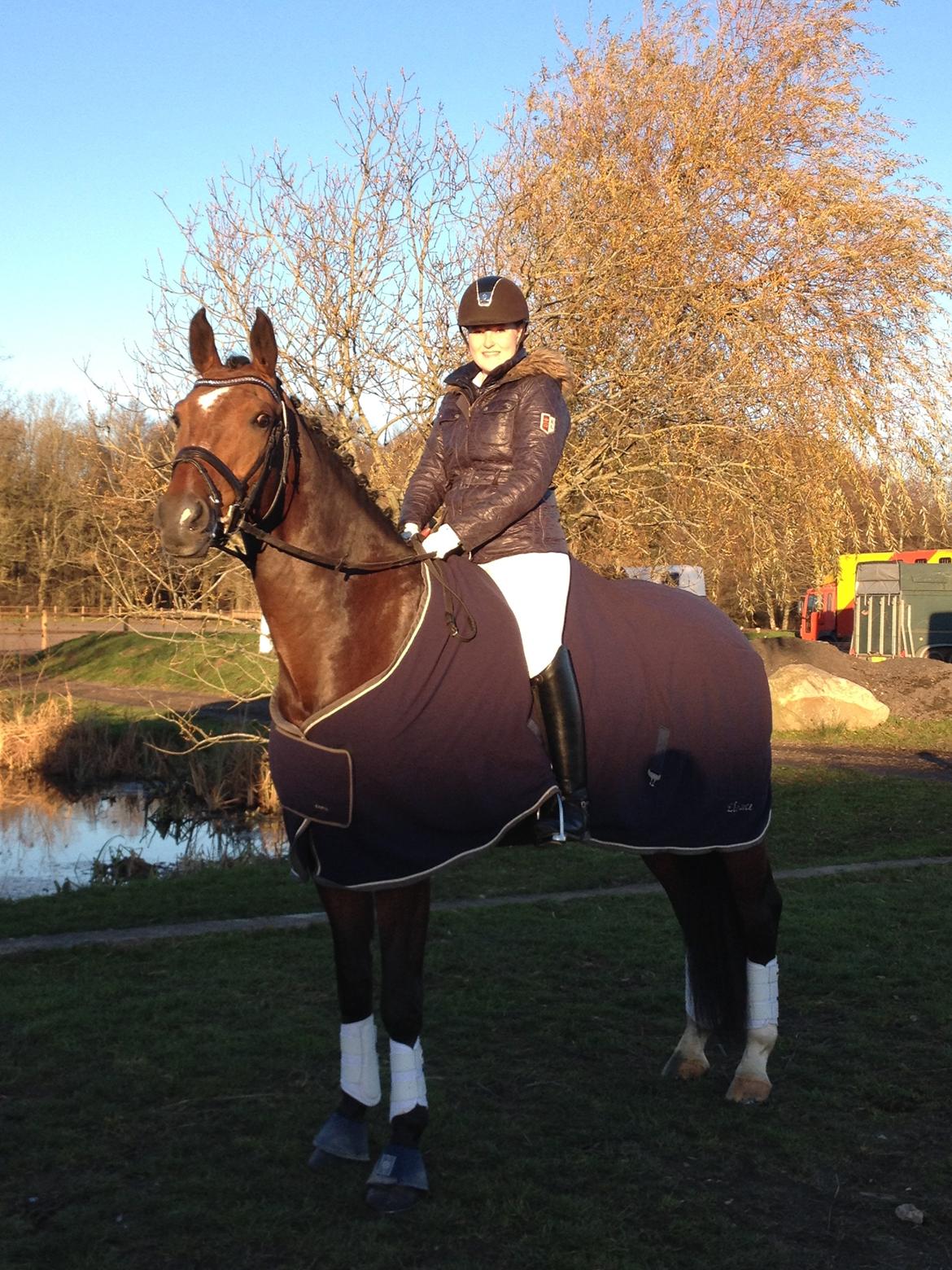 Dansk Varmblod First Move A.B. billede 14