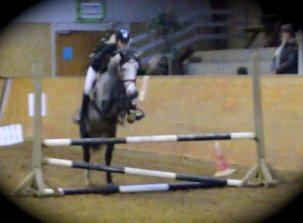Anden særlig race LANCELOT *B-PONY* billede 12
