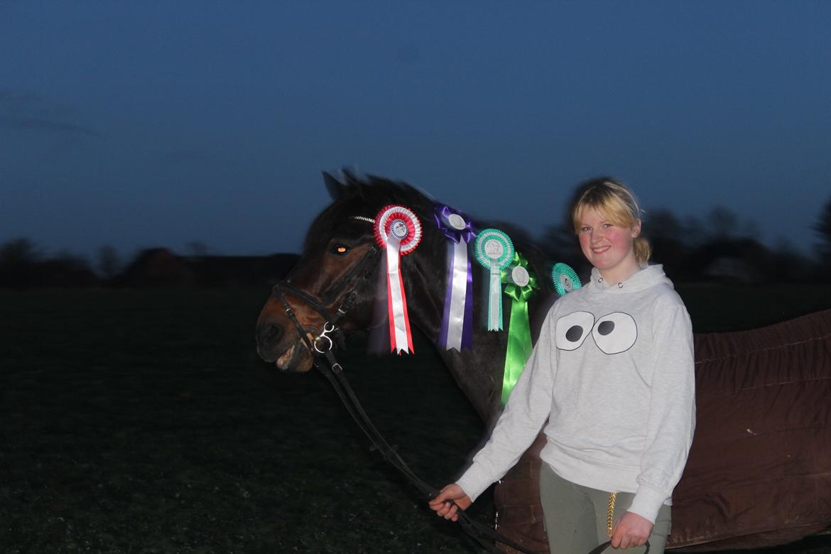 New Forest Elmholts Granat billede 19