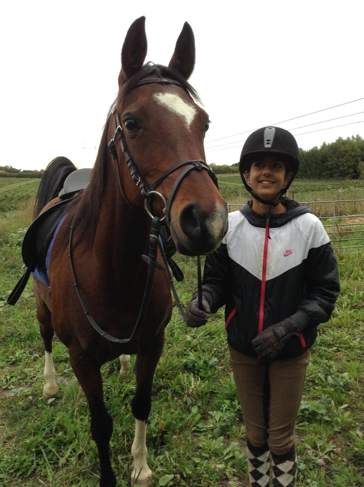 Arabisk fuldblod (OX) Khiara aw billede 9