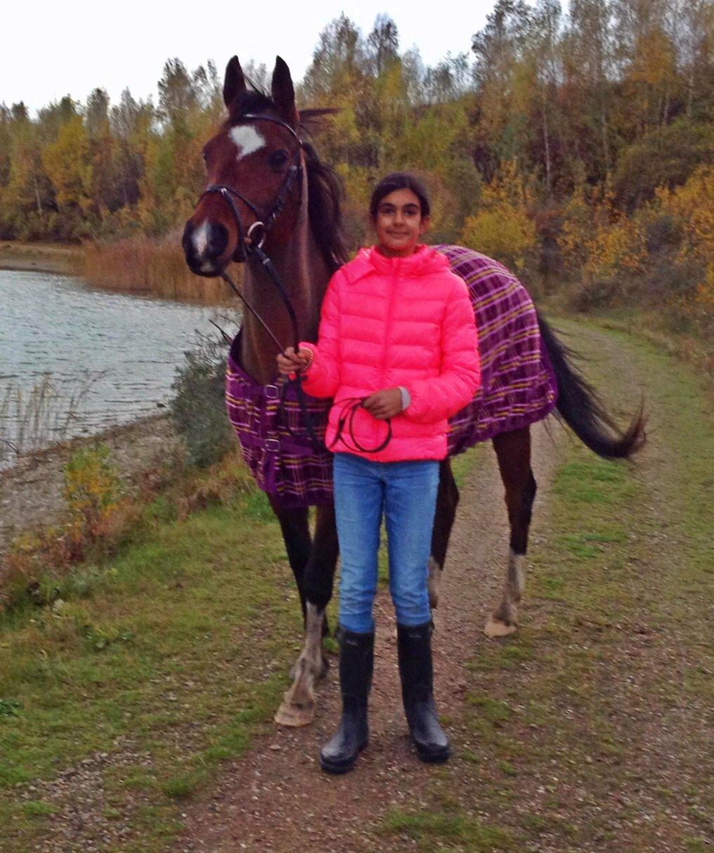 Arabisk fuldblod (OX) Khiara aw billede 18