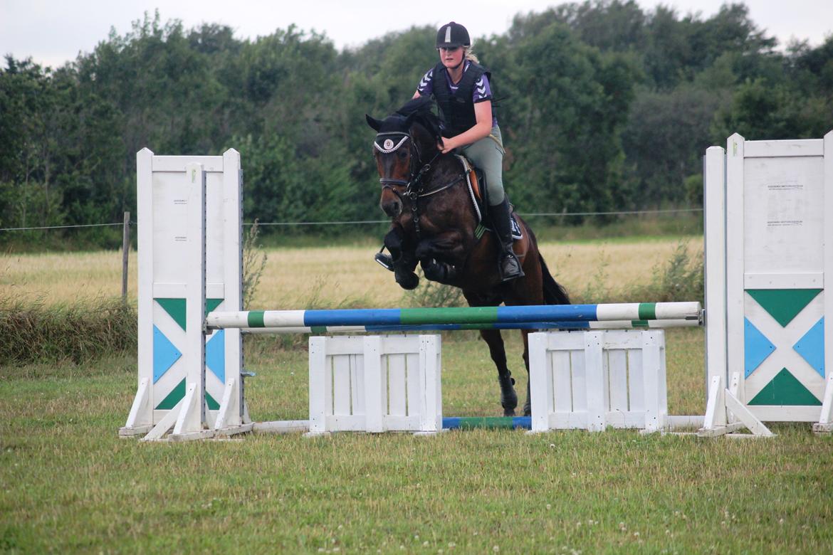 New Forest Elmholts Granat billede 1