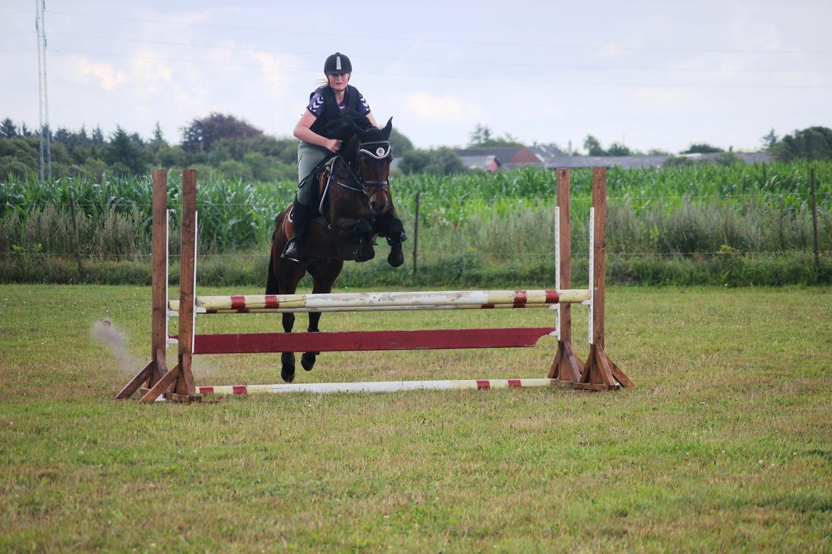 New Forest Elmholts Granat billede 2