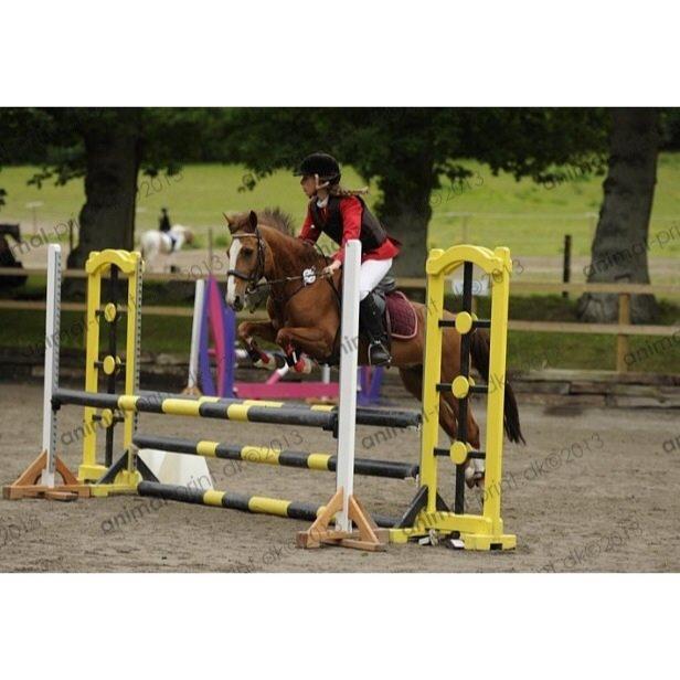 Svensk Sportspony  puma billede 15