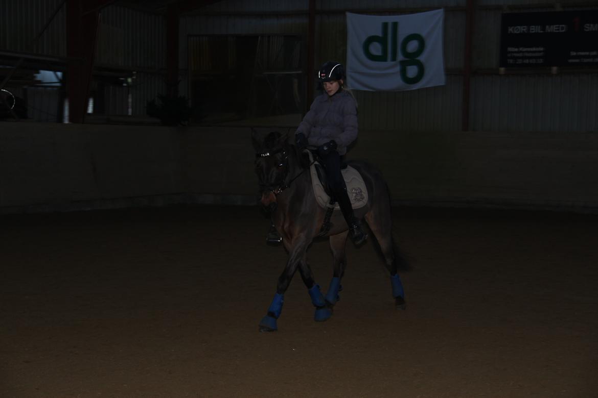 Anden særlig race Filur (solgt ) billede 17