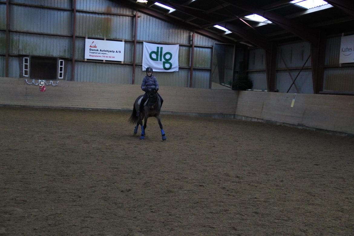 Anden særlig race Filur (solgt ) billede 19