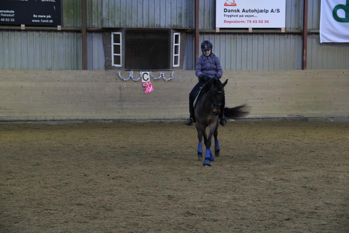 Anden særlig race Filur (solgt ) billede 20