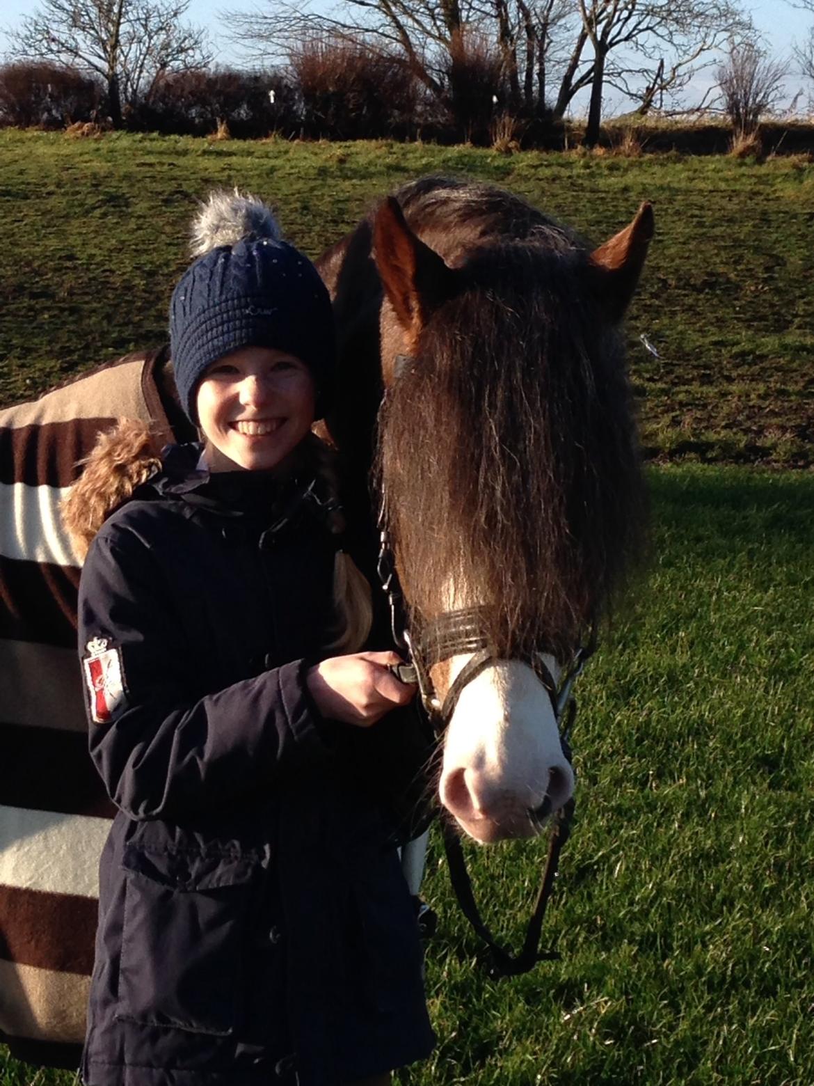 Welsh Pony (sec B) BARNHOEVE´S ARTHUR *A-PONY* billede 15