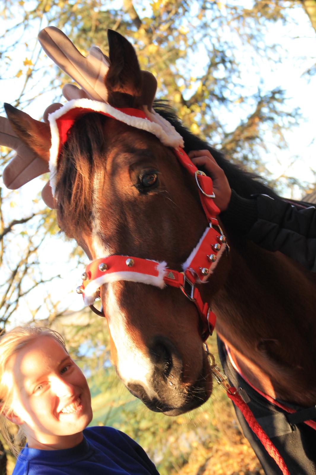 Traver Ja Post-Pub (Popper) billede 4