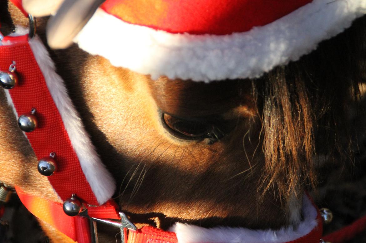 Traver Ja Post-Pub (Popper) billede 5