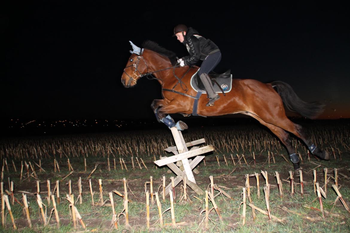 Traver Ja Post-Pub (Popper) billede 9