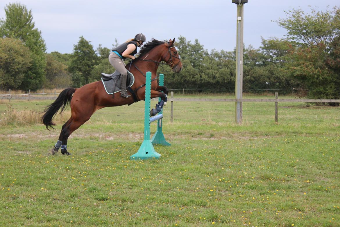 Traver Ja Post-Pub (Popper) billede 10