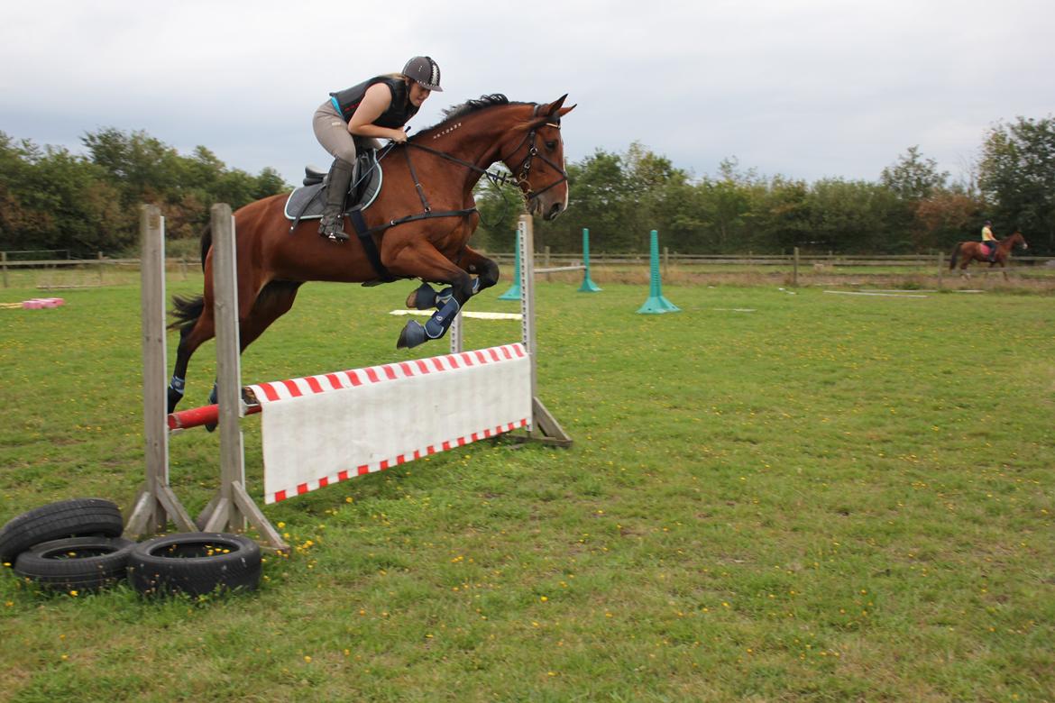 Traver Ja Post-Pub (Popper) billede 11