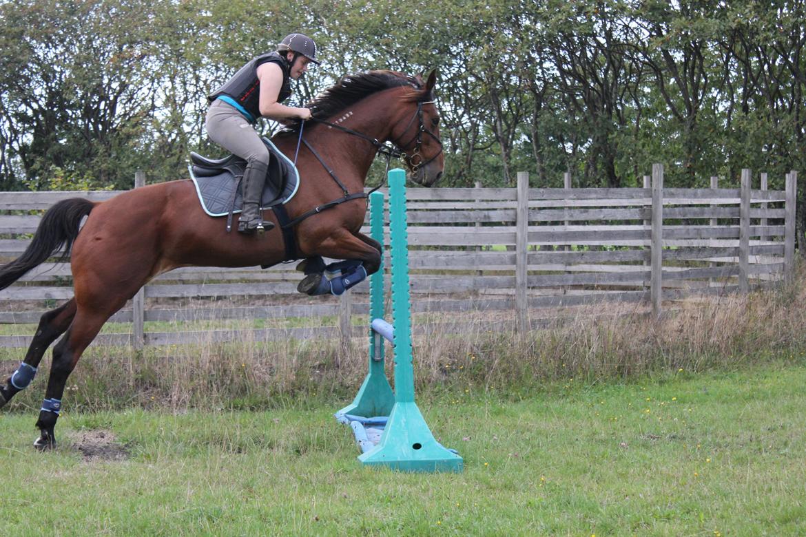 Traver Ja Post-Pub (Popper) billede 12