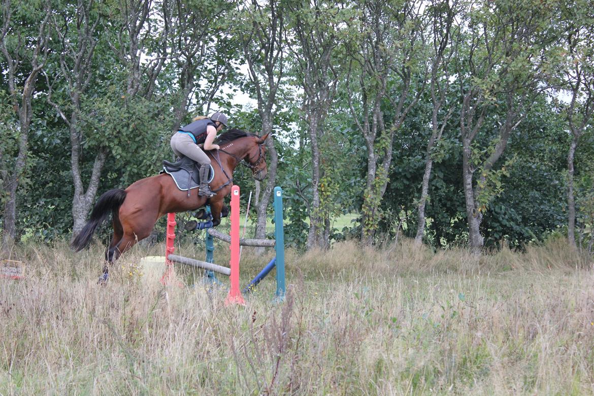 Traver Ja Post-Pub (Popper) billede 13