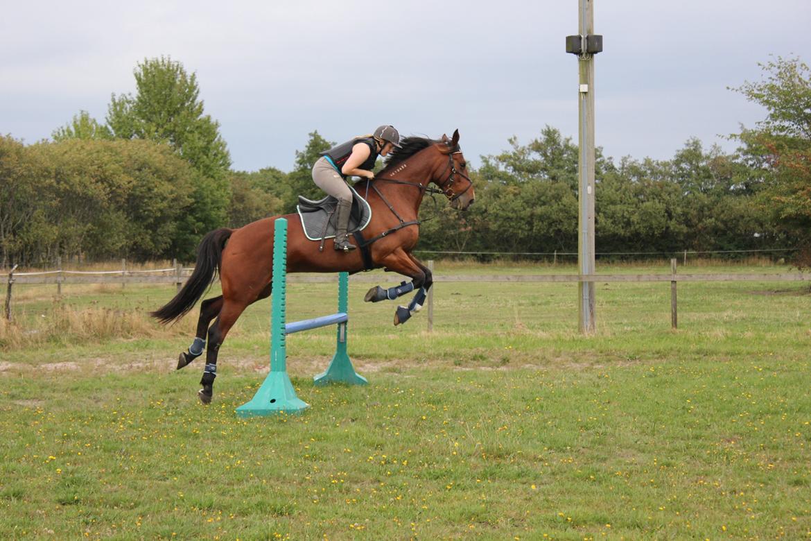 Traver Ja Post-Pub (Popper) billede 14