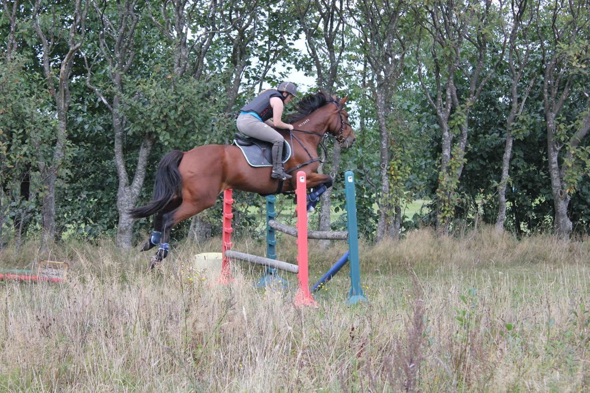 Traver Ja Post-Pub (Popper) billede 1