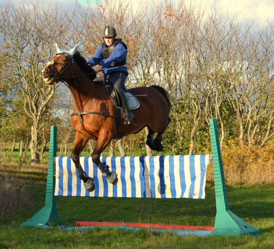 Traver Ja Post-Pub (Popper) billede 15