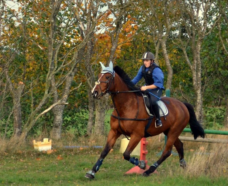Traver Ja Post-Pub (Popper) billede 18
