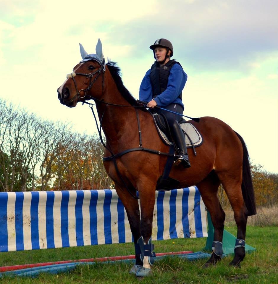 Traver Ja Post-Pub (Popper) billede 19