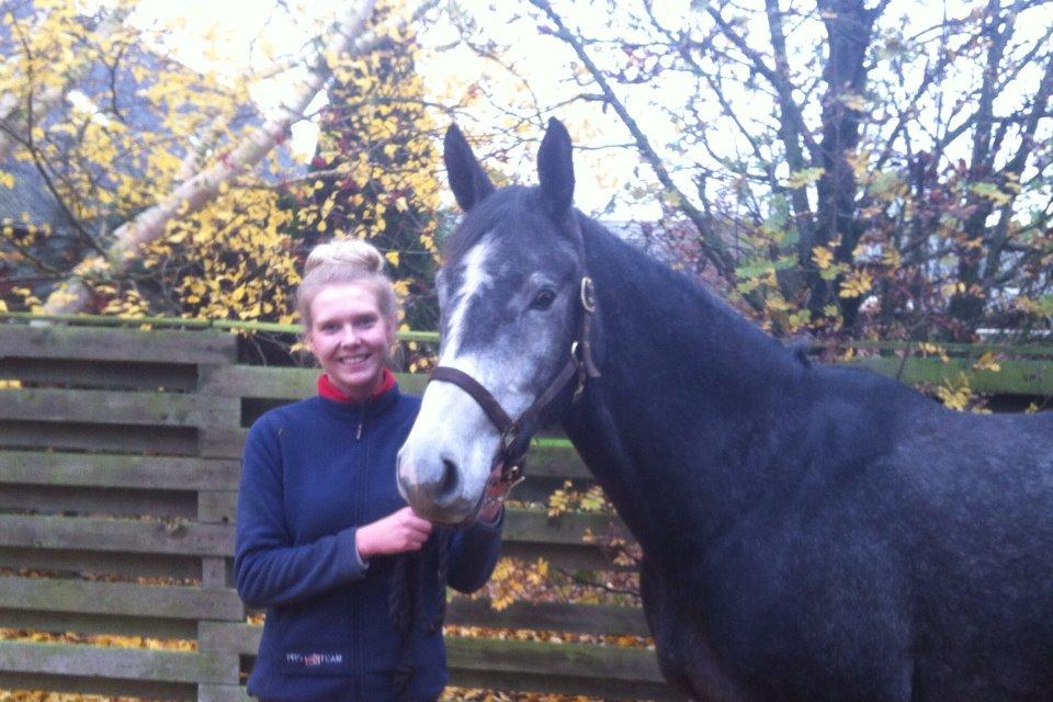 Dansk Varmblod Garb - Dagen efter jeg fik ham, afsted på gåtur :-) billede 10