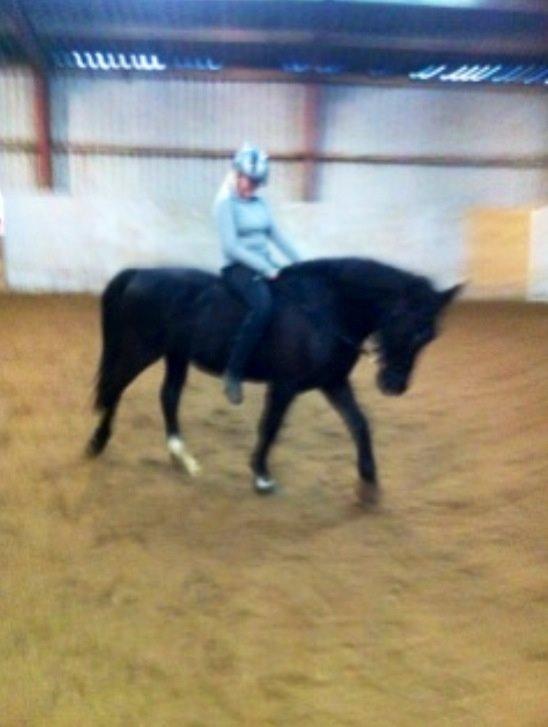 Oldenborg Bento /TIDL. PART/ - Lækker dressur krikke!<3
Fotoo: Esther BM billede 10