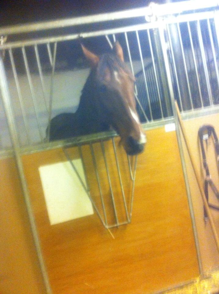 Traver Zensei. - Sødeste missekat!:P billede 10