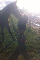 Traver Zensei. - Mys!:) billede 13