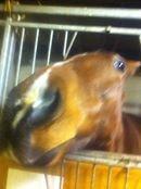 Traver Zensei. - Tsk!:P billede 15