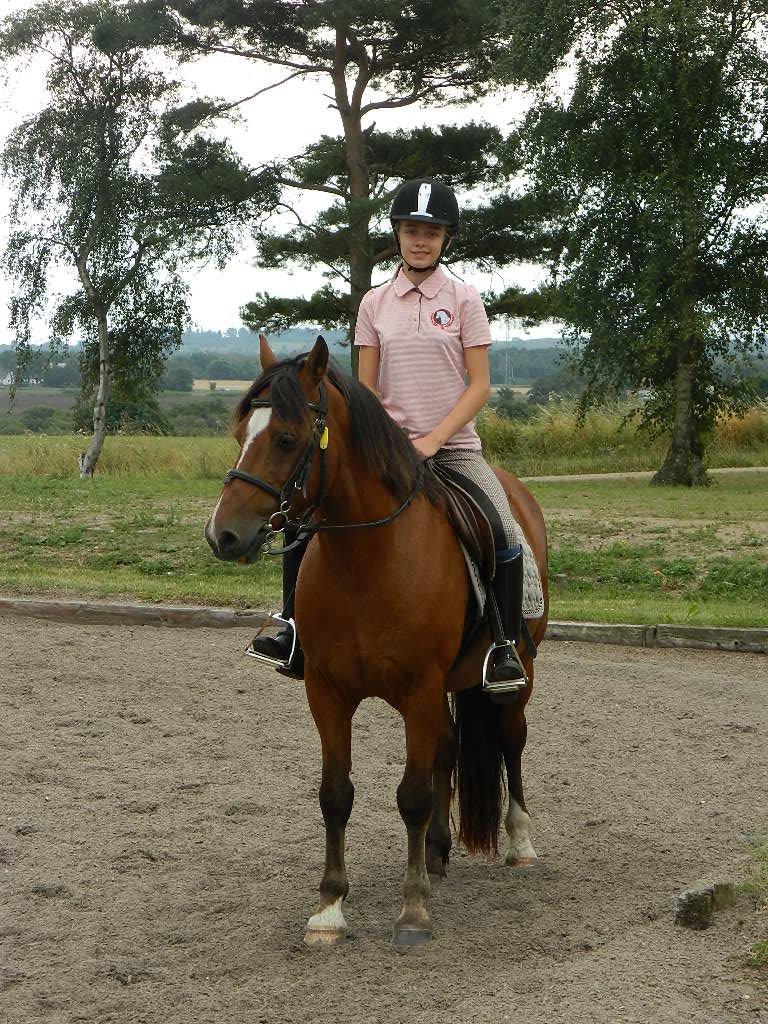 Anden særlig race Midnight - Velkommen til Midnight's profil.  billede 1