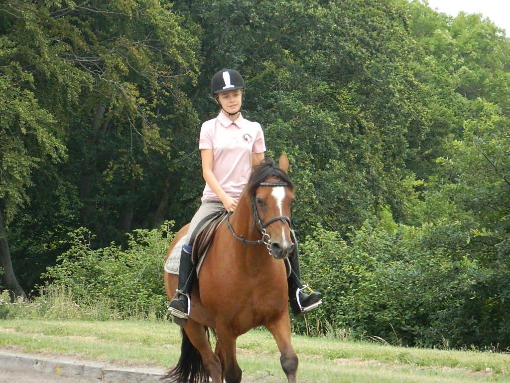 Anden særlig race Midnight billede 9