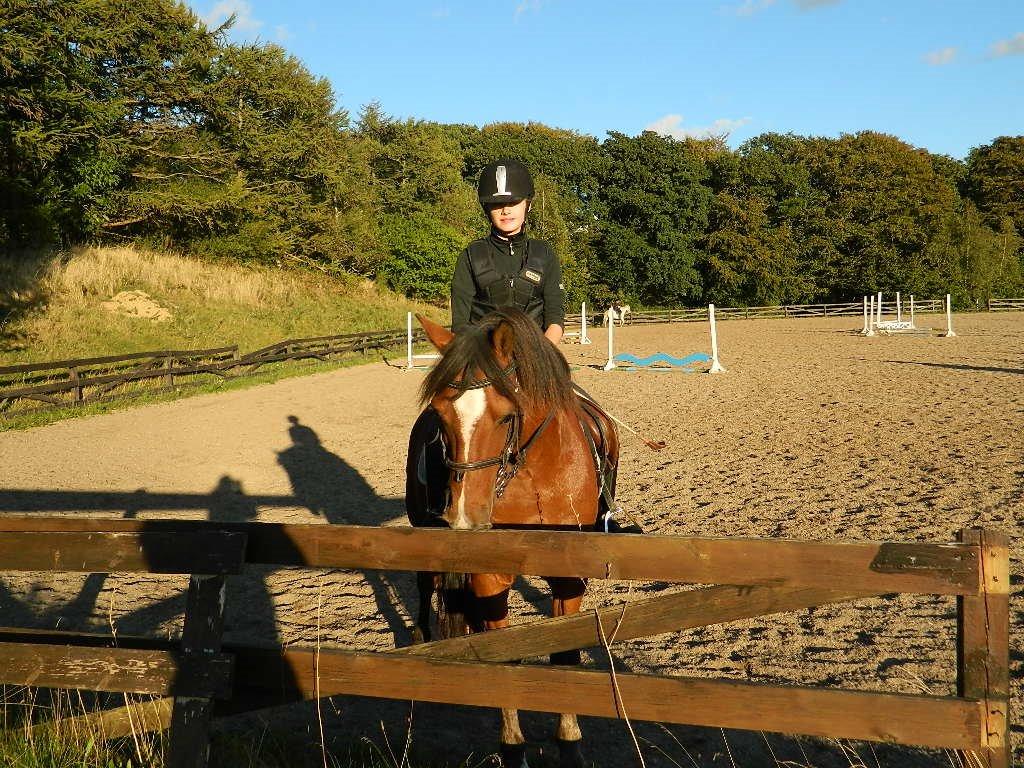 Anden særlig race Midnight billede 13