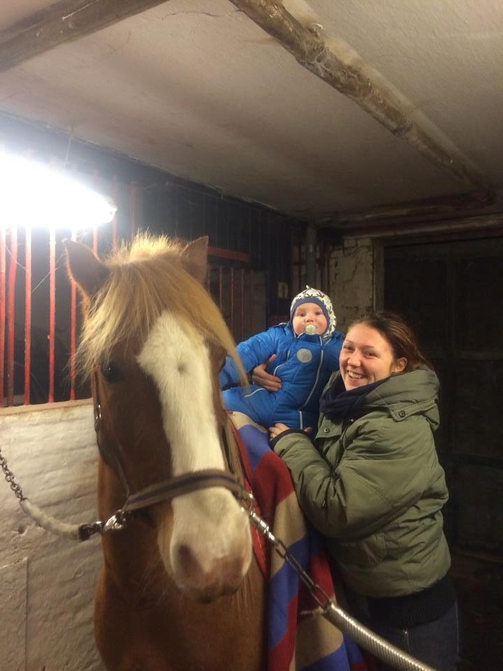 Welsh Pony af Cob-type (sec C) Gribsvad Emma Jo (tidl. Pony) - Så fik min dreng lige sin først ridetur.;-) billede 15