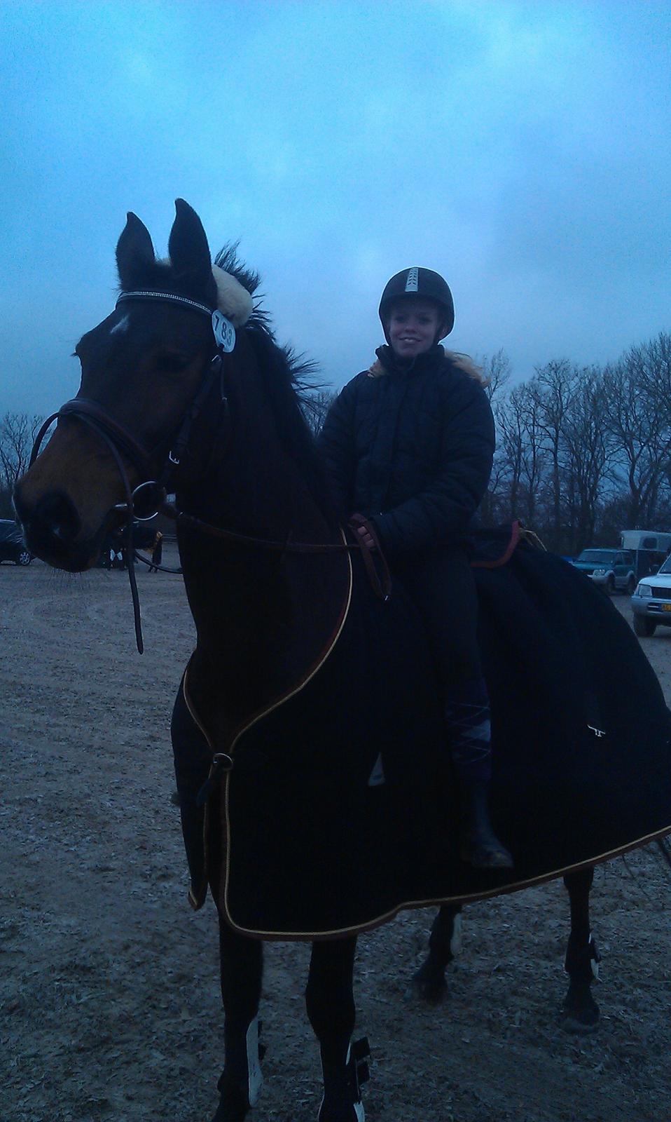 Zangersheide D. Chriesafie Z - Skridter af efter prinsessen har været til Christmas Show Warm Up <3 billede 13