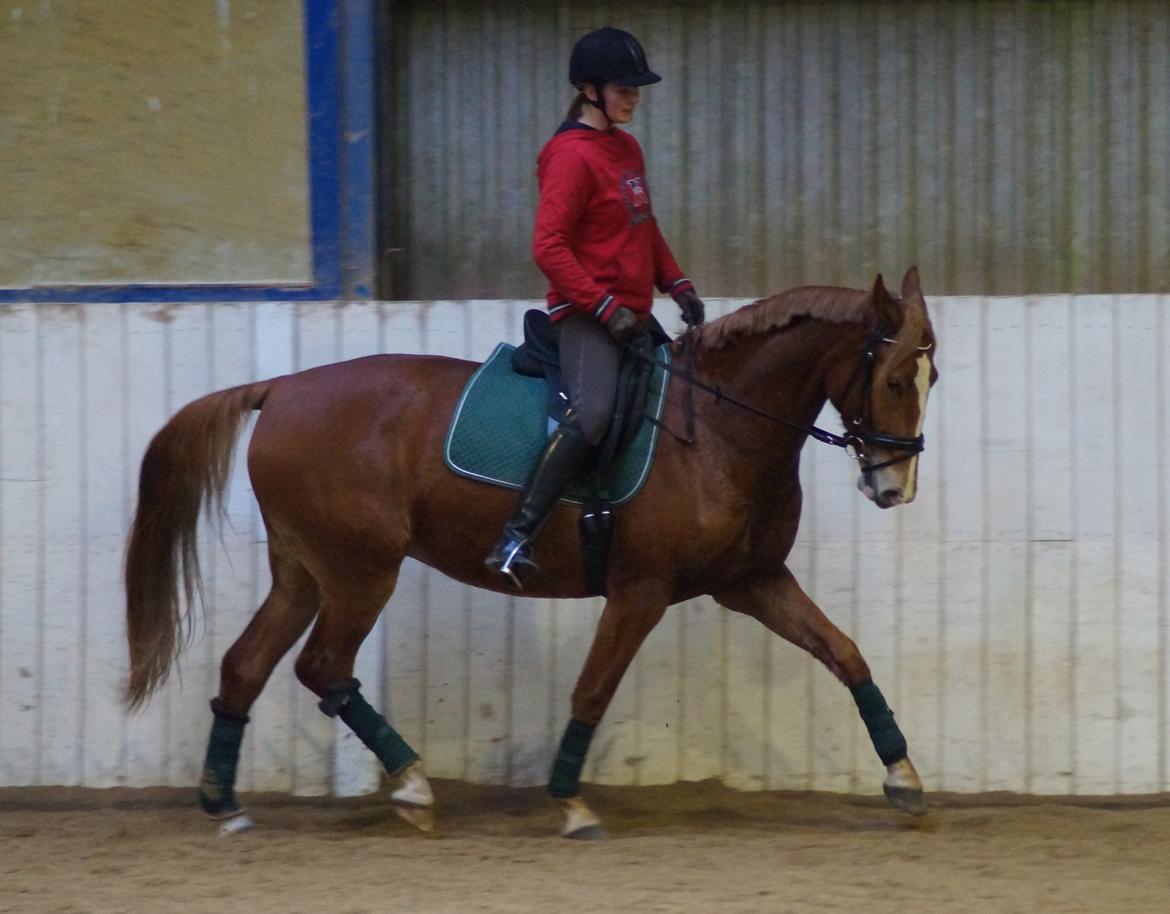 Frederiksborg Vejvads Chanel - 20.12.2013 billede 7