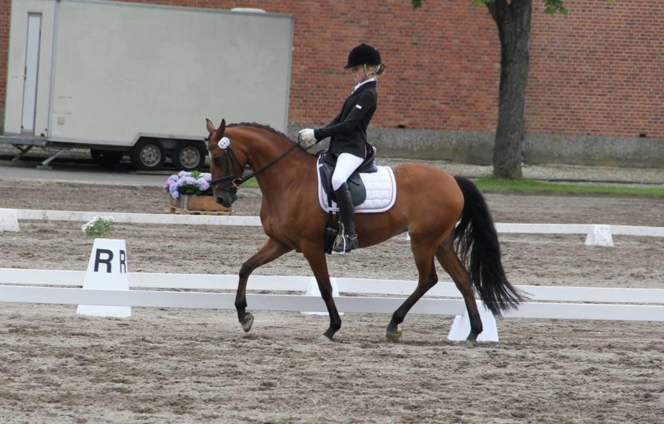 DSP Nymfe Stengaard (B-pony) - Distriktsstævne  billede 8