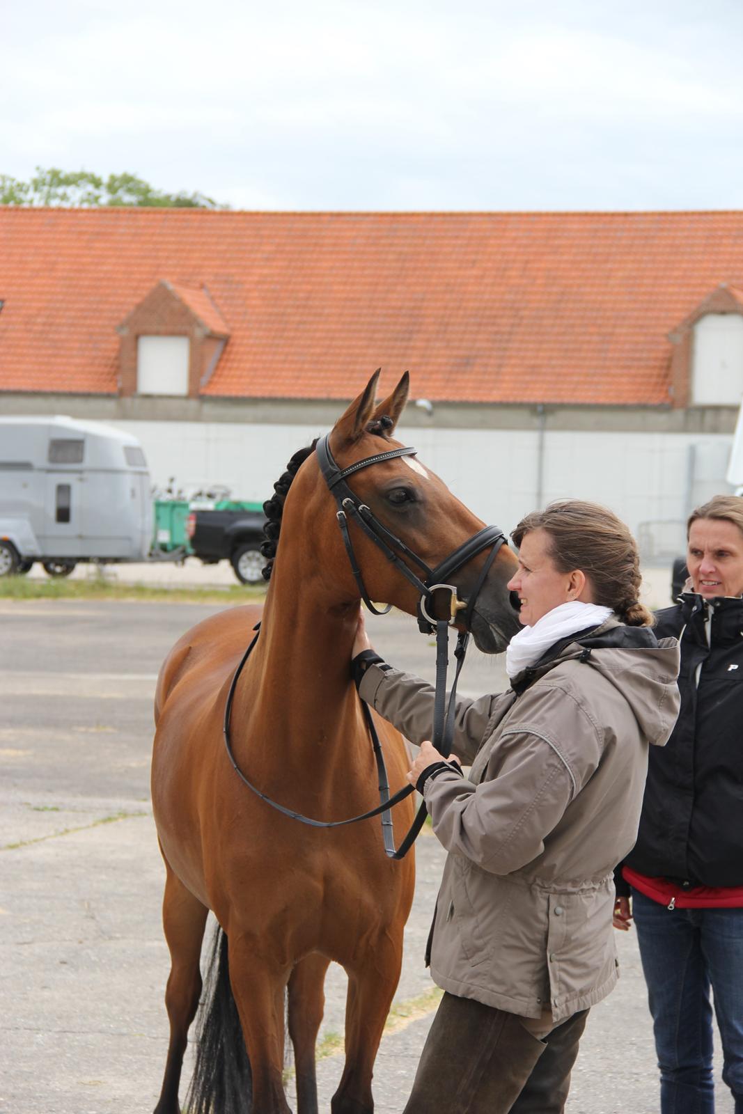 DSP Nymfe Stengaard (B-pony) - Distriktsstævne  billede 9