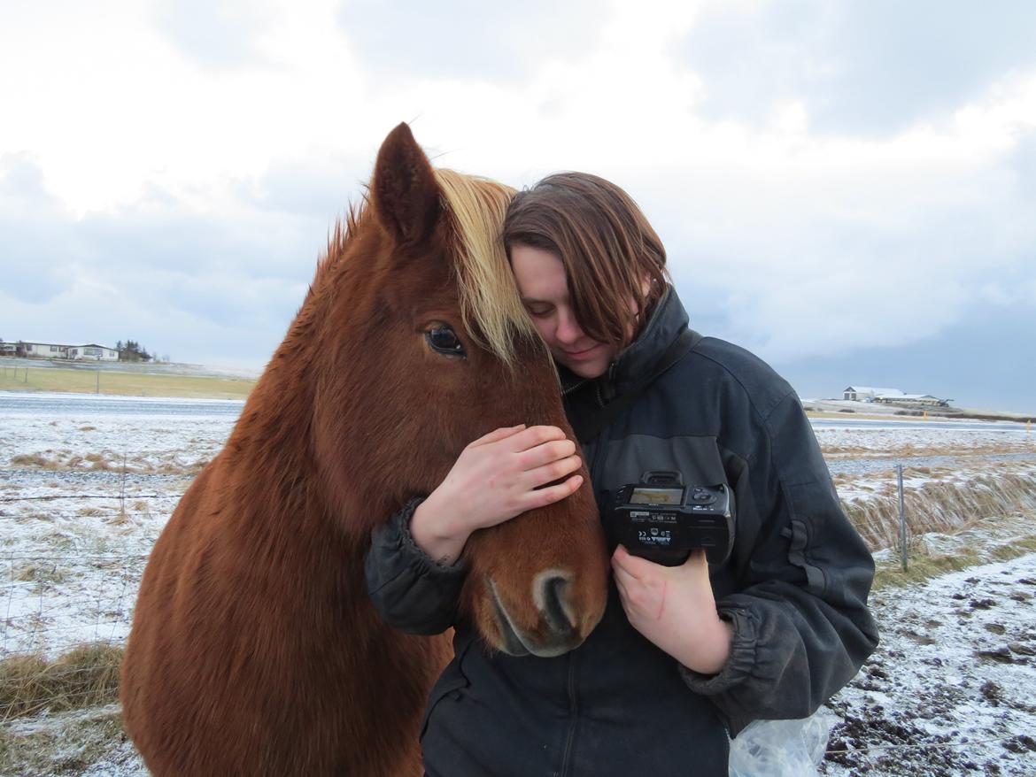 Islænder Glóð frá Voðmúlastöðum - Min smukke hest og jeg. Hvor jeg bare elsker den hest!  billede 8