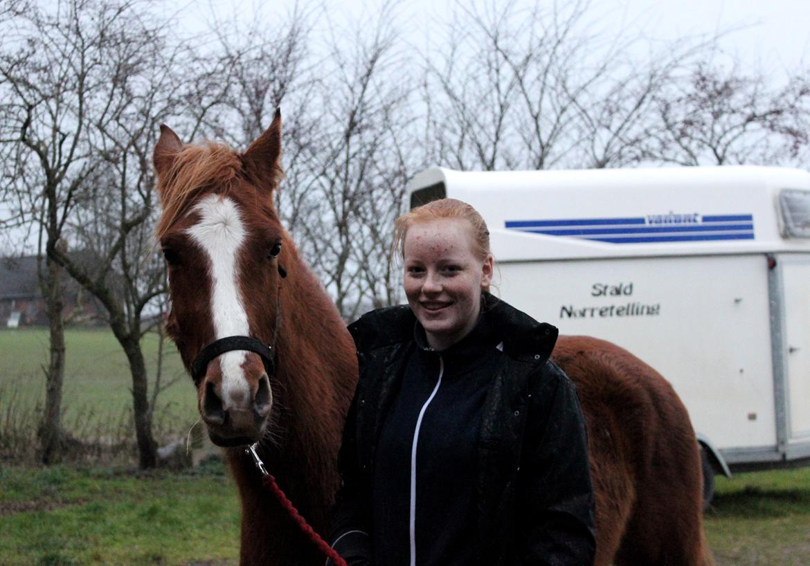 DSP Nørretelling's Ballou - Mig og Ballou 22/12 2013 - Foto: Cecilie billede 33